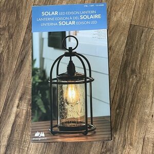 Evergreen Solar LED Edison Lantern in Black